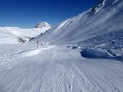 Golvende baan Kogel-Mogel