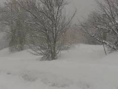 Video 3-5 Pigadia – Naousa