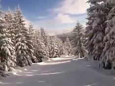 Video Muggenbrunn